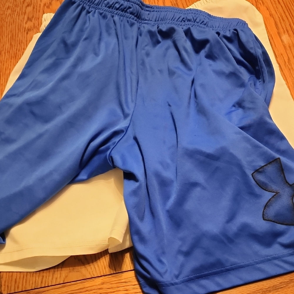 Mens Shorts - Picture 2 of 4